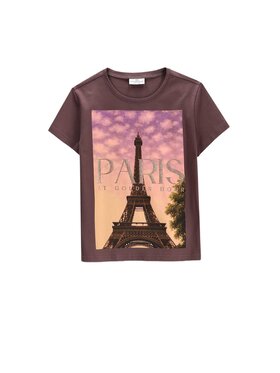 Coccodrillo Coccodrillo T-Shirt ZC6143203VGA-018 Brązowy Regular Fit