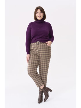 blue shadow blue shadow Spodnie damskie Loan Plus Size Beżowy Standard Fit
