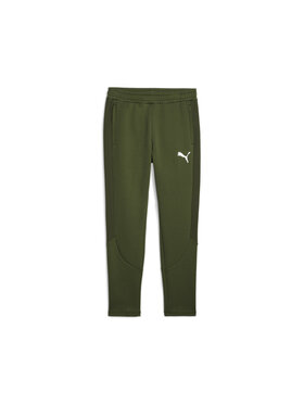Puma Puma Spodnie dresowe 675932 Zielony Regular Fit