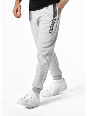 PITBULL PITBULL Spodnie dresowe Spodnie Szary Regular Fit
