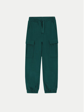 Coccodrillo Coccodrillo Jogginghose ZC4120101SGJ Grün Regular Fit