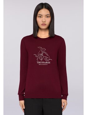 Trussardi Trussardi Maglione M0126001158N036 Marrone Regular Fit