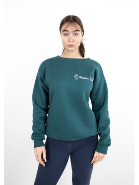 DKaren Sport DKaren Sport Bluza EQ001 Zielony Classic Fit