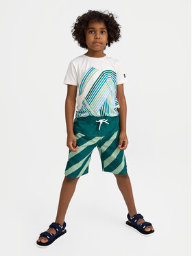 Reima Reima Pantaloni scurți pentru înot Papaija 5200155B Verde Regular Fit