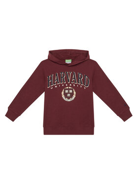 United Colors Of Benetton United Colors Of Benetton Bluza 32N4C204U Bordowy Regular Fit