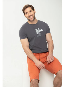 Volcano Volcano T-Shirt T-LUMINARY Szary Regular Fit
