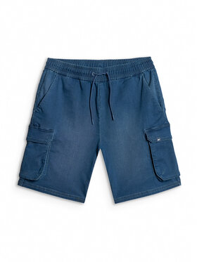 4F 4F Szorty sportowe ESSENTIAL Regular Fit