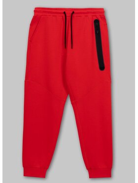 PITBULL PITBULL Spodnie dresowe Spodnie dresowe męskie DOGWOOD POCKET XL Pomarańczowy Regular Fit