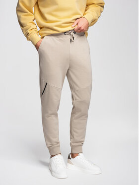 Ombre Ombre Spodnie dresowe OM-PASK-0280 Beżowy Regular Fit