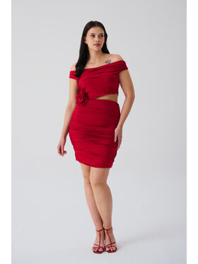 ROSE AVENUE ROSE AVENUE Sukienka elegancka SUKIENKA LILA Czerwony Regular Fit