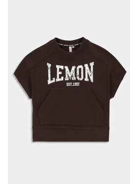Lemon Explore Lemon Explore Bluza WL3132801CPB-018 Brązowy Regular Fit