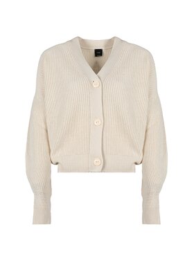 PINKO PINKO Svetr 100851 A0OS Écru Regular Fit
