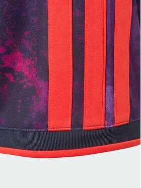 adidas adidas Szorty sportowe 172079 Kolorowy Regular Fit