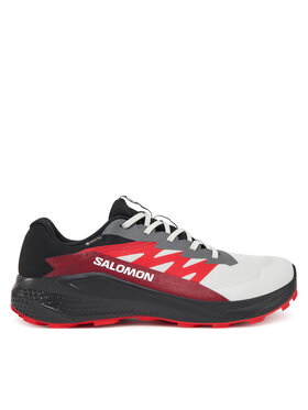 Salomon Salomon Scarpe running Alphaglide Gore-Tex L47802200 Grigio