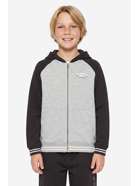 Quiksilver Quiksilver Μπλούζα Knowledge Area EQBFT03949 Έγχρωμο Regular Fit