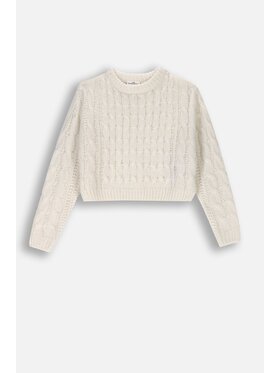 Coccodrillo Coccodrillo Sweter ZC4172102SGJ-003 Écru Regular Fit
