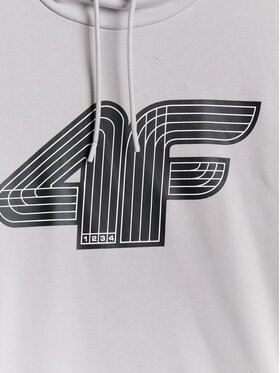 4F 4F Bluza COMMERCIAL 3 Szary jasny Regular Fit