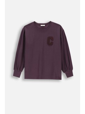 Coccodrillo Coccodrillo T-Shirt ZC4143103AGJ-016 Fioletowy Regular Fit