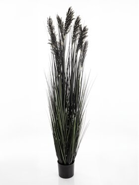 LE POSSÉ LE POSSÉ Sztuczne kwiaty BFG Czarny