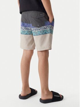 Quiksilver Quiksilver Σορτς κολύμβησης Everyday Panel 17 EQBBS03724 Έγχρωμο Regular Fit