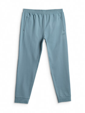 4F 4F Spodnie dresowe MULTI ACTIVE Granatowy Regular Fit