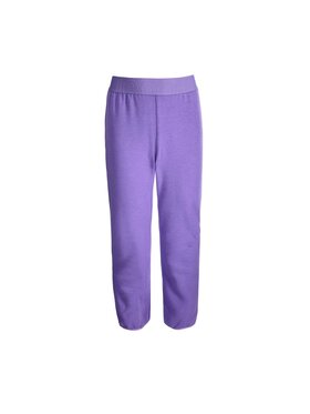 Lemon Explore Lemon Explore Spodnie dresowe ZL6120201ACG-016 Fioletowy Regular Fit