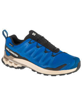 Salomon Salomon Buty do biegania Salomon XA Pro 3D v9 GTX Niebieski