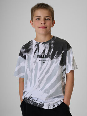 4F 4F T-Shirt SKATE & RIDE Kolorowy Loose Fit