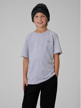 4F 4F T-Shirt BASIC+ Szary Regular Fit
