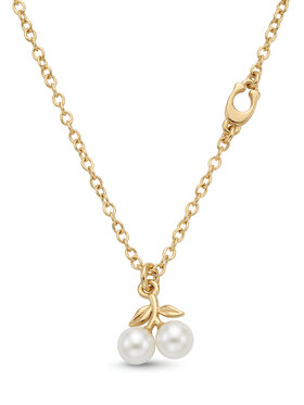 Κολιέ Coach φωτογραφία