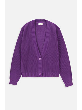 Coccodrillo Coccodrillo Sweter WC4172201JPJ-016 Fioletowy Regular Fit