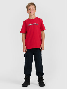 4F 4F Spodnie dresowe APRES SKI Granatowy Regular Fit