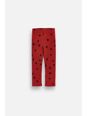 Coccodrillo Coccodrillo Legginsy ZC6122001SUN-017 Bordowy