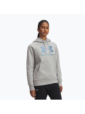 Under Armour Under Armour Bluza UA-6003710-011 Szary Regular Fit