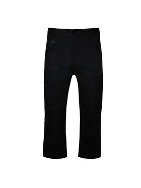 Regatta Regatta Spodnie outdoor Pro Action Czarny To Fit