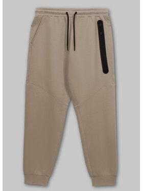 PITBULL PITBULL Spodnie dresowe Spodnie dresowe męskie DOGWOOD POCKET S Beżowy Regular Fit