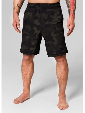 PITBULL PITBULL Szorty sportowe AUTOMATIC Kolorowy Regular Fit