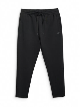 4F 4F Spodnie dresowe ESSENTIAL 2 Czarny Regular Fit