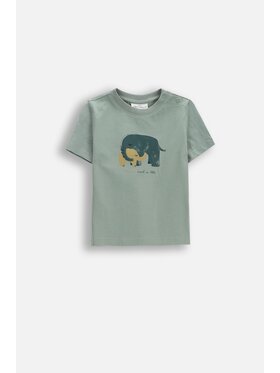 Coccodrillo Coccodrillo T-Shirt WC6143204IBN-011 Zielony Regular Fit