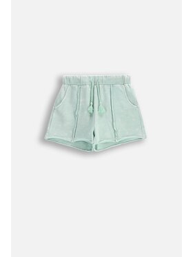 Coccodrillo Coccodrillo Szorty WC5120501TGJ-011 Zielony Regular Fit