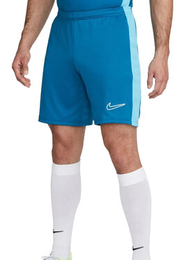 Nike Nike Szorty DV9742 Błękitny Regular Fit
