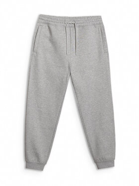 4F 4F Spodnie dresowe WINTER CODE Szary jasny Regular Fit