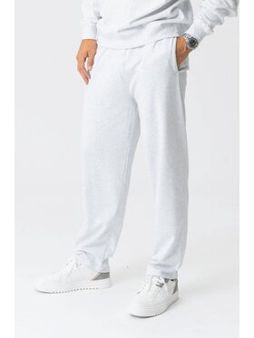 TeeShoppen TeeShoppen Joggery 'Basic Collection' Szary Regular Fit