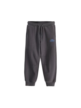 Coccodrillo Coccodrillo Teplákové nohavice ZC6120201WBK-020 Sivá Regular Fit