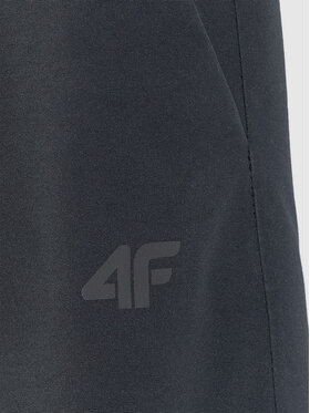 4F 4F Spodnie snowboardowe SNOWBOARD Czarny Regular Fit