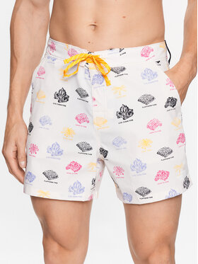 The North Face The North Face Pantaloni scurți pentru înot Class V Ripstop NF0A81X1 Colorat Regular Fit