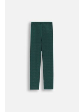 Coccodrillo Coccodrillo Legginsy ZC4122102MER-011 Zielony