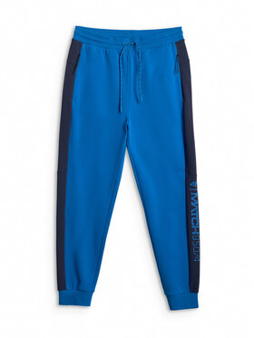 4F 4F Spodnie dresowe SPORTS CLUB Niebieski Regular Fit