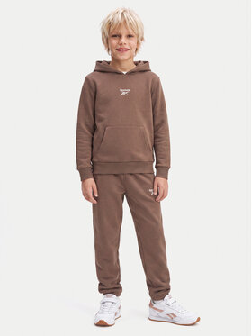 Reebok Reebok Спортивний костюм RK95228CCB Коричневий Regular Fit