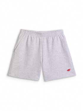 4F 4F Szorty sportowe STREFA KIBICA Szary jasny Regular Fit